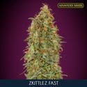 Zkittlez Fast (Advanced Seeds) feminisiert