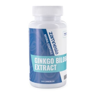 Ginkgo Biloba Extrakt