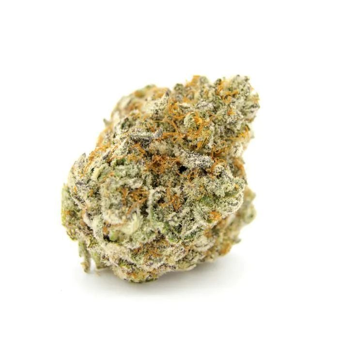 Watermelon Weddincake Double XL Auto (Growers Choice)