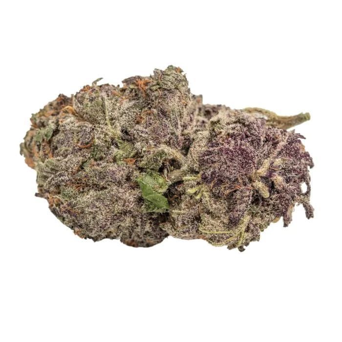 Ultraviolet Gmo Feminisiert (Grower's Choice)