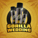 Gorilla Wedding (BSF Seeds x Zamnesia Seeds) feminisiert
