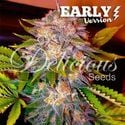 Caramelo - Early Version (Delicious Seeds) feminisiert