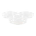 20 Plastic Petri Dish Sterile (Greiner)