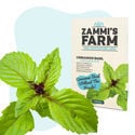 Zimtbasilikum (Ocimum basilicum) Samen