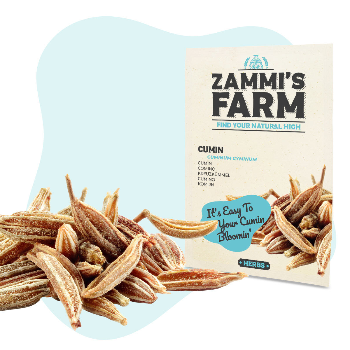 Cumin (Cuminum cyminum) Seeds Zamnesia