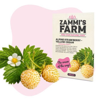 Wald-Erdbeere - Yellow Cream (Fragaria vesca) Samen