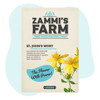 St. John's Wort (Hypericum perforatum) Seeds