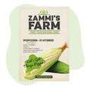 Popcorn (Zea mays) Seeds - F1 Hybrid