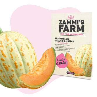 Zuckermelone 'Oranje Ananas' (Cucumis melo) Samen