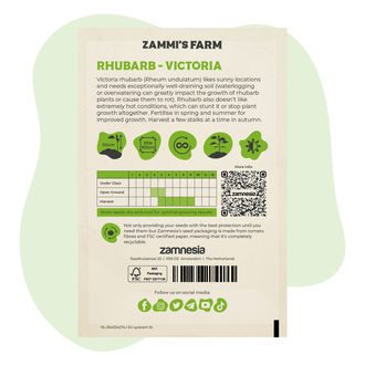 Rhabarber Victoria (Rheum undulatum) Samen