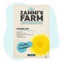 Löwenzahn (Taraxacum officinale) Samen