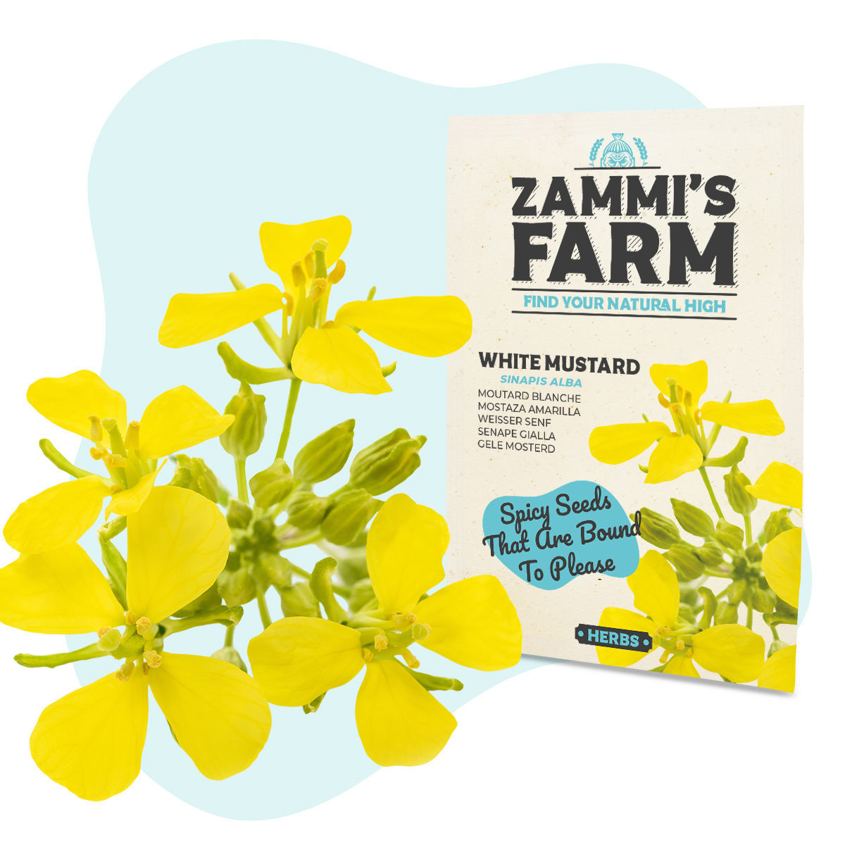 White Mustard (Sinapis alba) Seeds Zamnesia