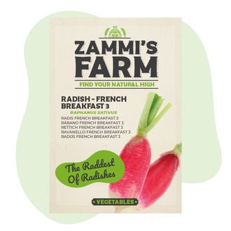 Radish 'French Breakfast 3' (Raphanus sativus) Seeds