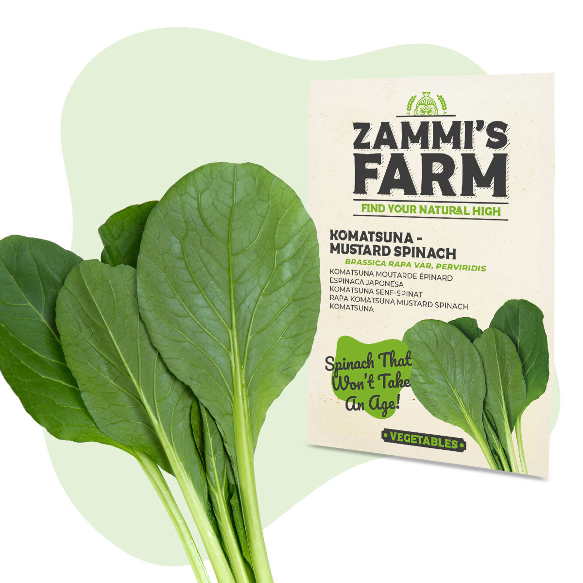 Komatsuna / Mustard Spinach (Brassica rapa var. perviridis) Zamnesia