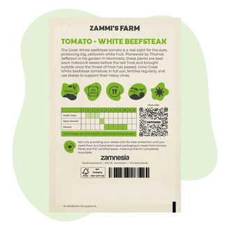 Great White Beefsteak Tomato (Solanum lycopersicum) Seeds