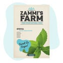 Stevia (Stevia rebaudiana) Samen