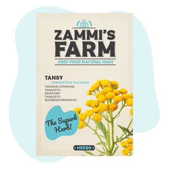 Tansy (Tanacetum vulgare) Seeds