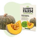 Winter Squash Sweet Dumpling (Cucurbita pepo) Seeds