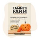 Kürbis Jack O' Lantern (Cucurbita pepo) Samen