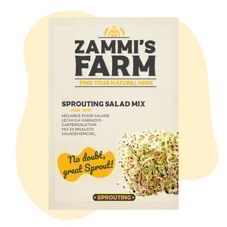 Sprouting Salad Mix Seeds