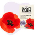 Klatschmohn 'Single Red' (Papaver rhoeas) Samen