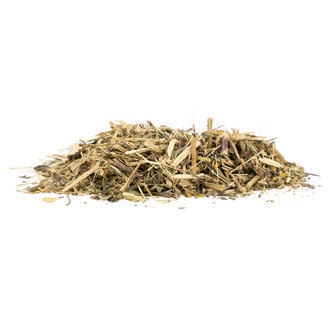 Mexican Tarragon (Tagetes lucida) 20 grams