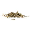 Sinicuichi (Heimia salicifolia) 20 grams