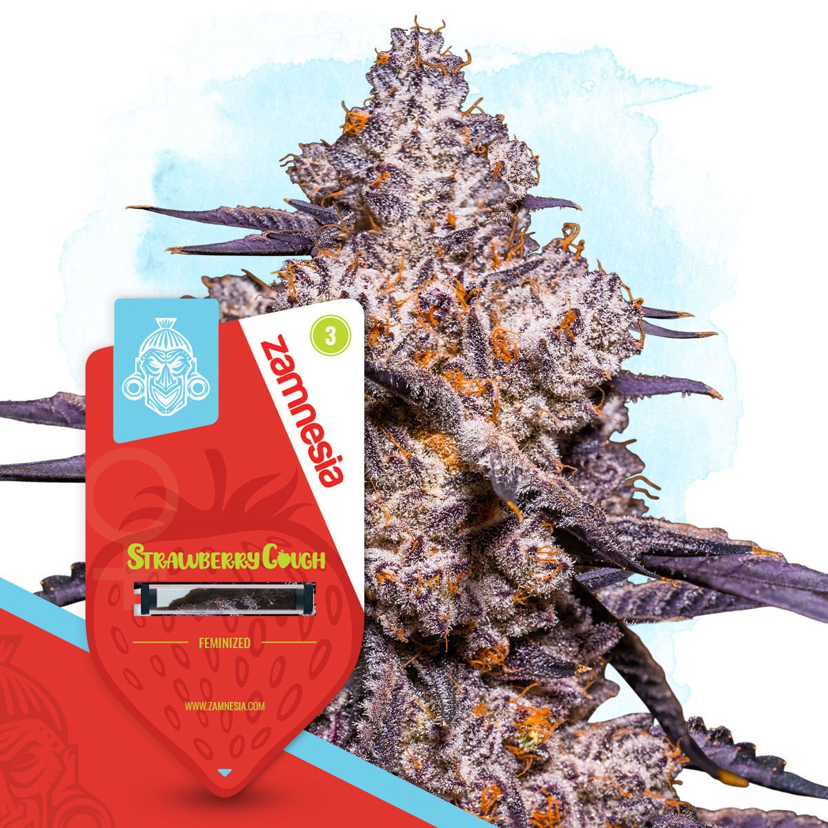 Strawberry Cough | Zamnesia Seeds - Zamnesia USA