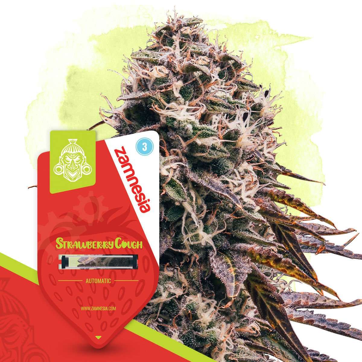 Strawberry Cough Automatic | Zamnesia Seeds - Zamnesia USA
