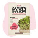Microgreens Mizuna (Brassica rapa) Seeds
