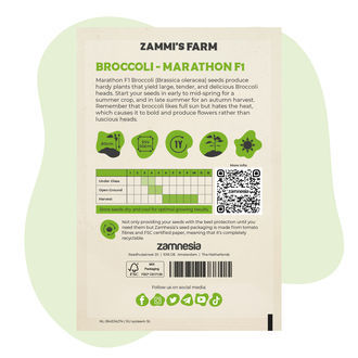 Broccoli Marathon F1 (Brassica oleracea) Seeds