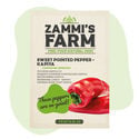 Spitzpaprika Kapiya (Capsicum annuum) Samen