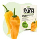 Spitzpaprika Palladio F1 (Capsicum annuum) Samen