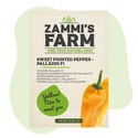 Spitzpaprika Palladio F1 (Capsicum annuum) Samen