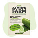 Kalimero F1 Snackgurke (Cucumber sativus) Samen