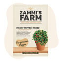 Zierpfeffer – gemischt (Capsicum annuum) Samen