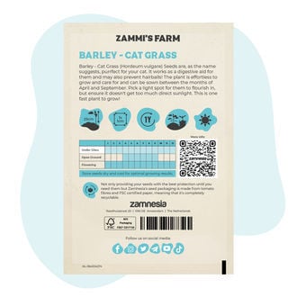 Barley - Cat Grass (Hordeum vulgare) Seeds