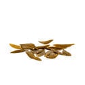 Klip Dagga (Leonotis nepetifolia) Seeds