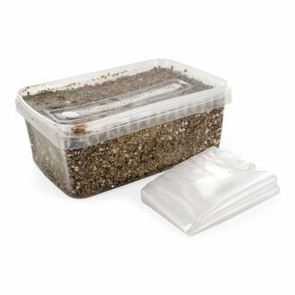 Sterilised Substrate Kit