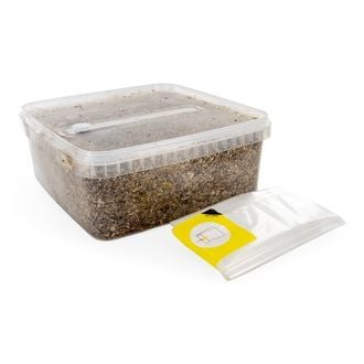 Sterilised Substrate Kit