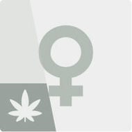 Feminized Seeds