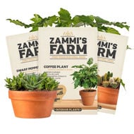 Interior Plant Seeds