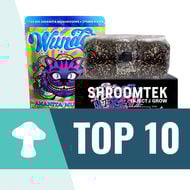 Top 10 Shroom Shop USA