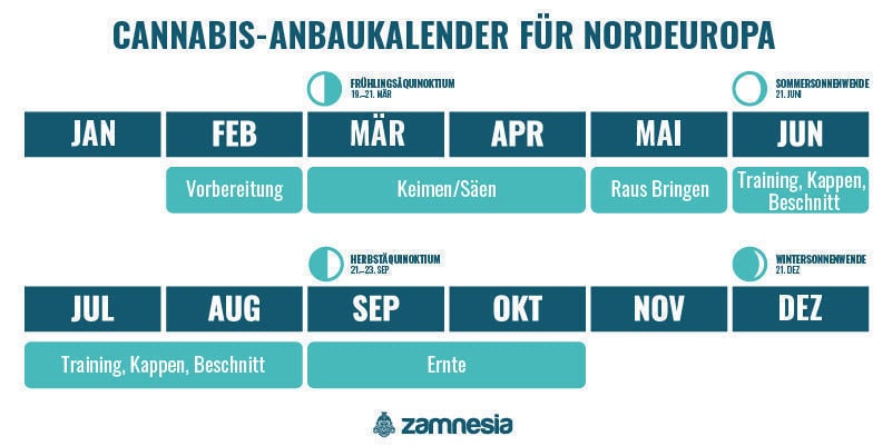 Cannabis-Anbaukalender für Nordeuropa