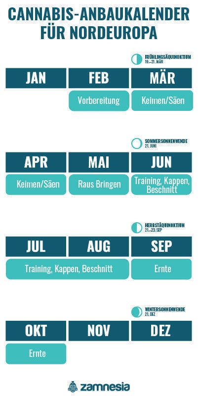 Cannabis-Anbaukalender für Nordeuropa