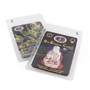 Verpackung vonBig Buddha Seeds Verpackung vonBig Buddha Seeds