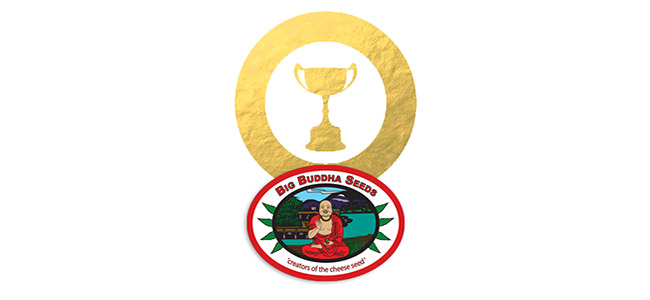 Auszeichnungen von Big Buddha Seeds Auszeichnungen von Big Buddha Seeds