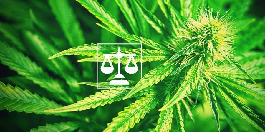 Legalität Cannabis