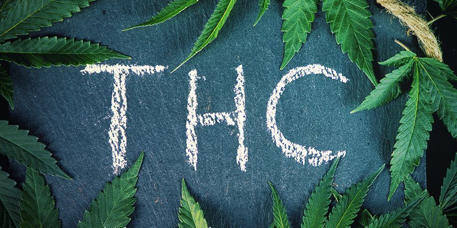 Was ist der Unterschied zwischen Hanf und Cannabis?