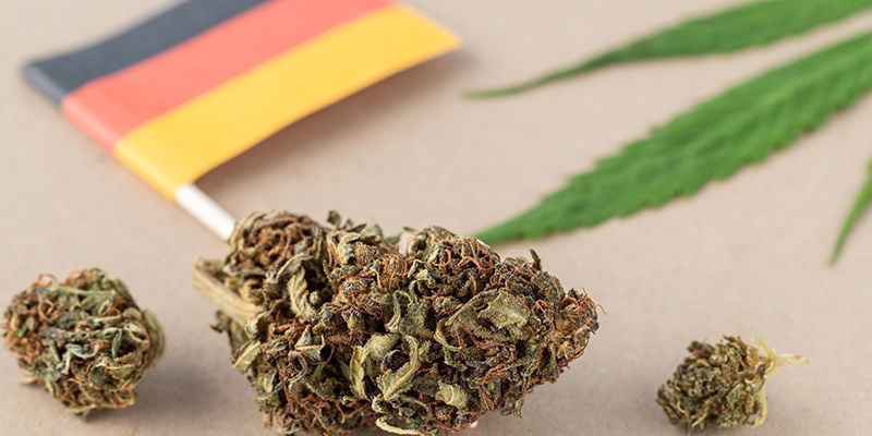 Kritik An Den Neuen Deutschen Cannabisgesetzen